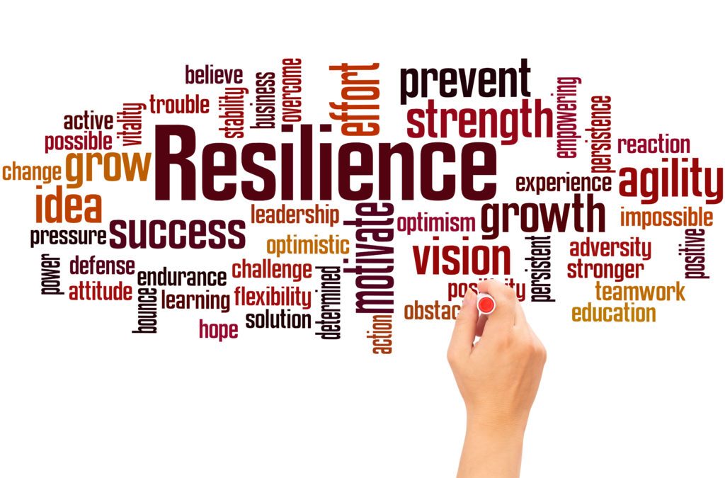 centre MHD accompagnement formation - comprendre la resilience