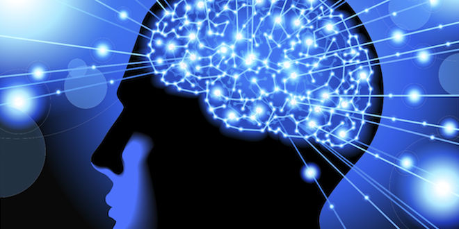 pnl-programmation-neurolinguistique - cerveau bleu