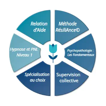Parcours Maitre Praticien en Thérapies Brèves Annecy
